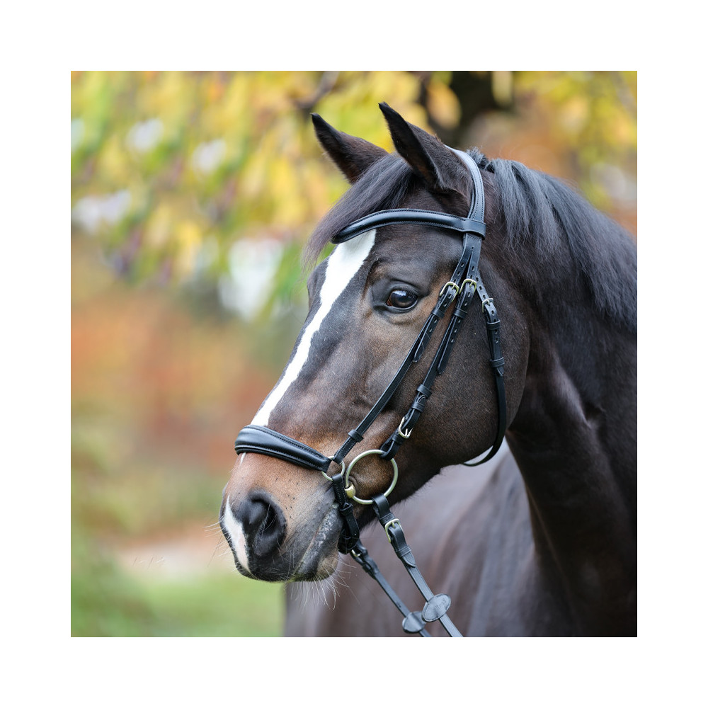 Ogłowie Hanowerskie Proline-Anna Brązowe Kavalkade