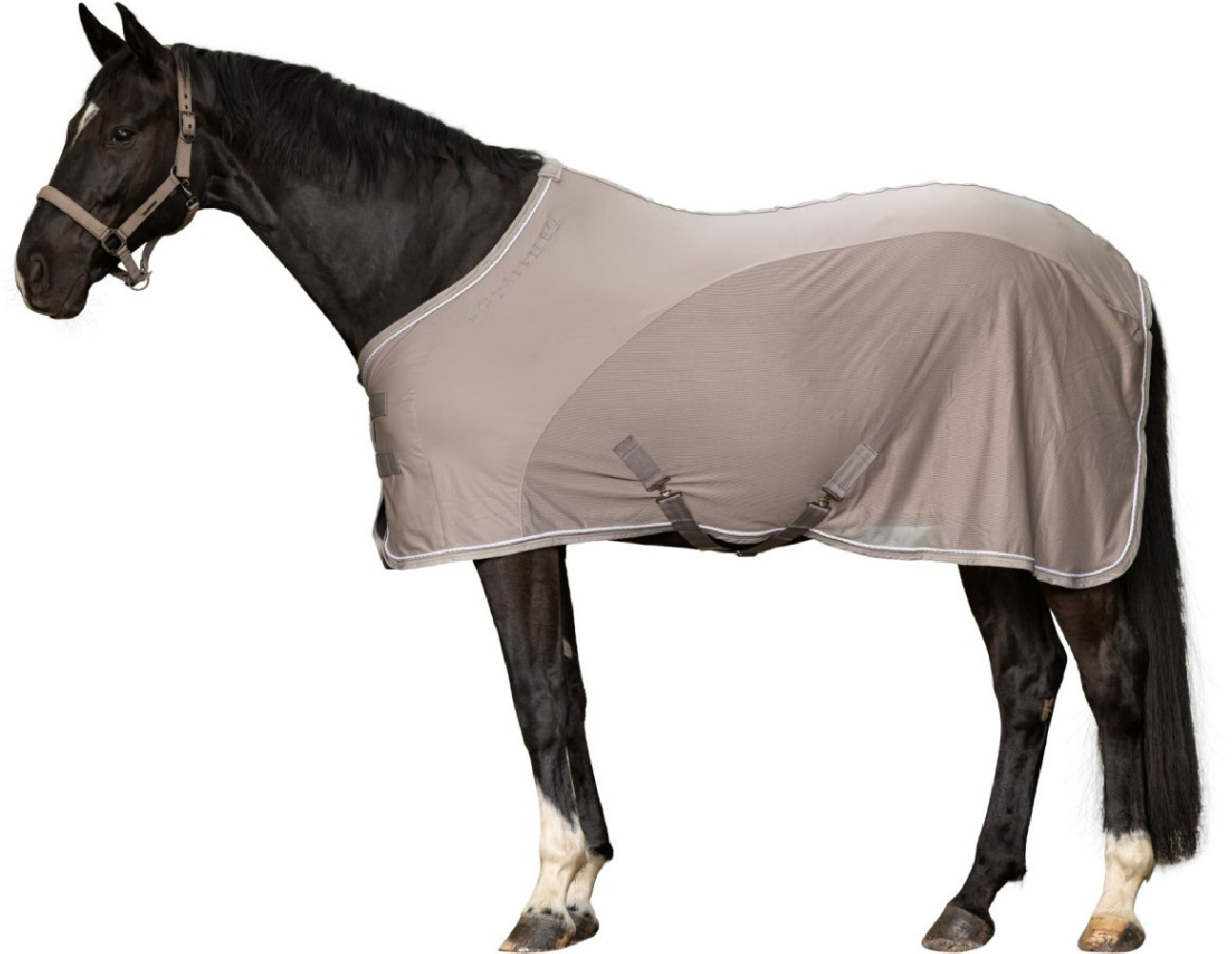 Derka Siatkowa Beżowa Spring/Summer 2025 Covalliero