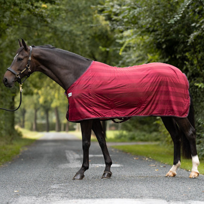 Derka Siatkowa "Stripe" Bordowy Kavalkade