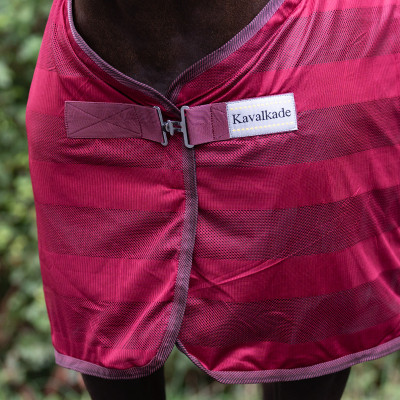 Derka Siatkowa "Stripe" Bordowy Kavalkade
