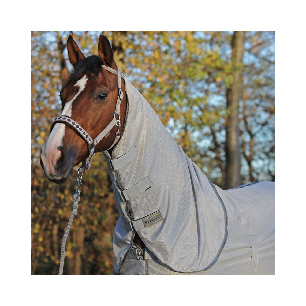 Derka Siatkowa na Owady z Kapturem Kavalkade