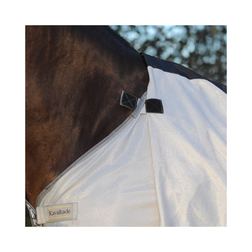 Derka Siatkowa na Owady z Kapturem Kavalkade