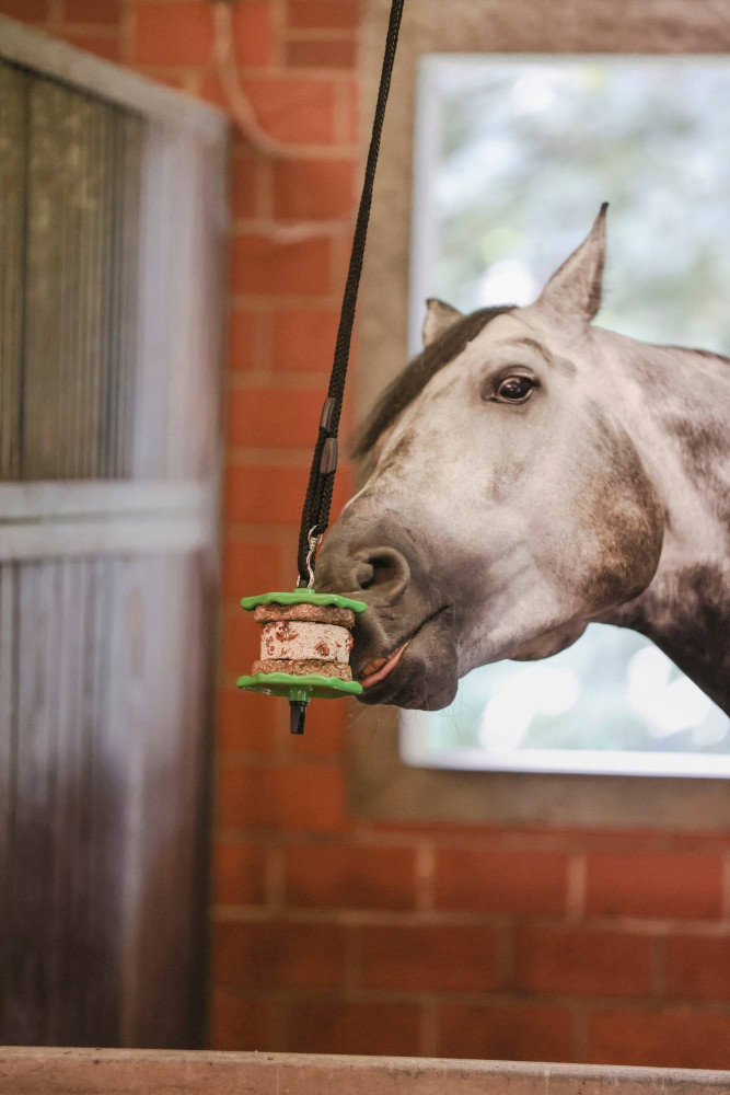 Przysmak Delizia Sandwich Marchewka Kerbl