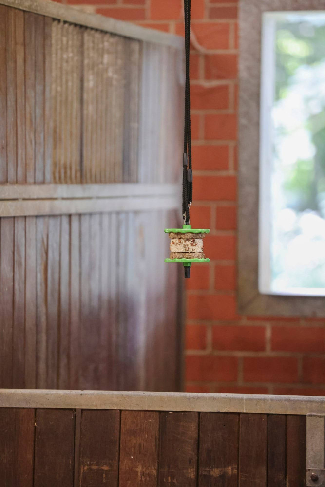 Przysmak Delizia Sandwich Marchewka Kerbl