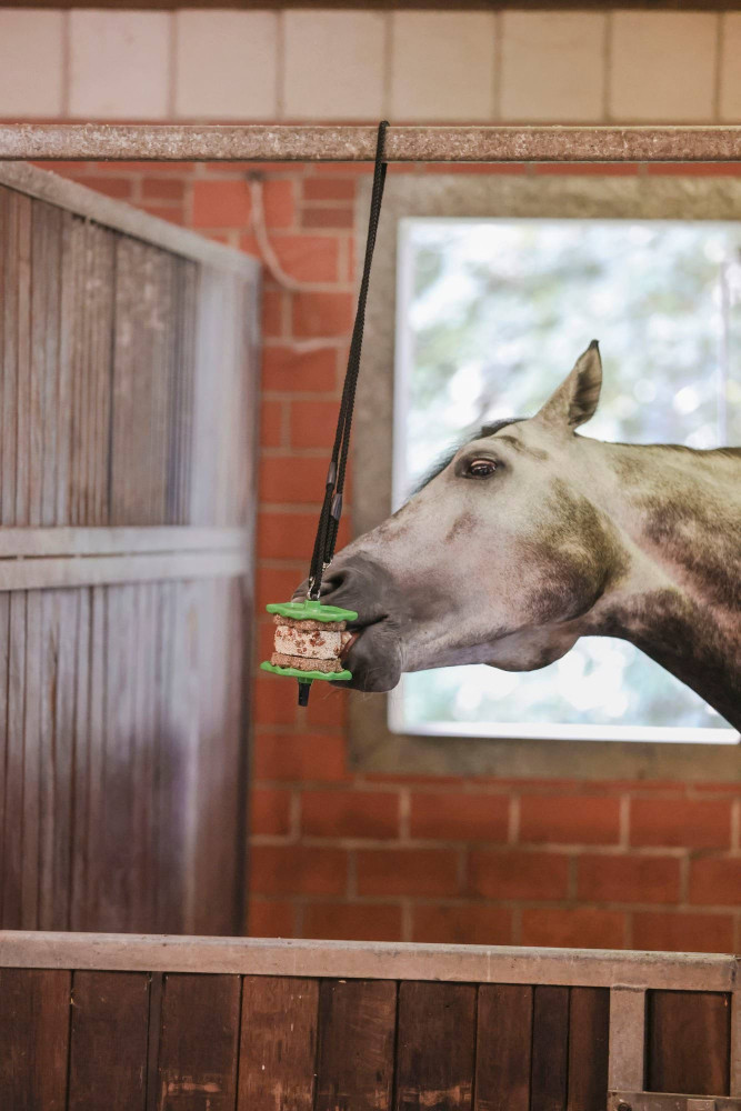 Przysmak Delizia Sandwich Marchewka Kerbl