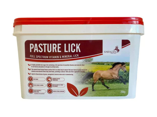 Lizawka Pasture Lick 10kg Saracen