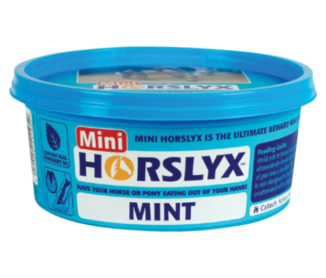 Lizawka Mint 650g Horslyx