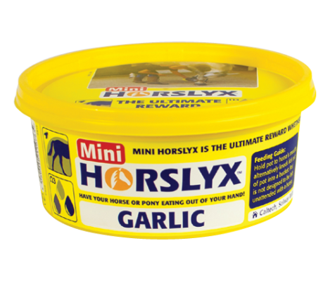 Lizawka Garlic 650g Horslyx