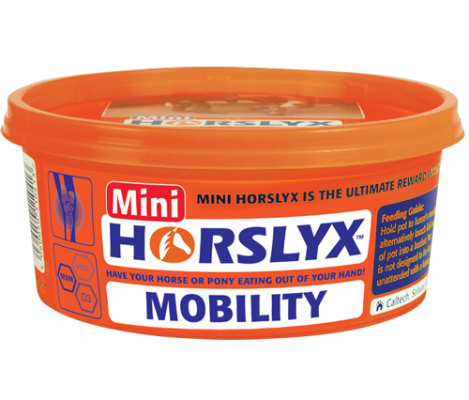 Lizawka Mobility 650g Horslyx