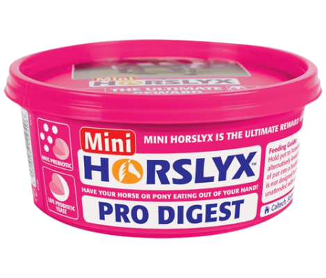 Lizawka Pro Digest 650g Horslyx