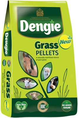 Trawokulki Green Pellets 20kg Dengie
