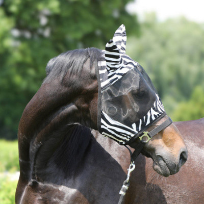 Maska Przeciw Owadom Zebra York