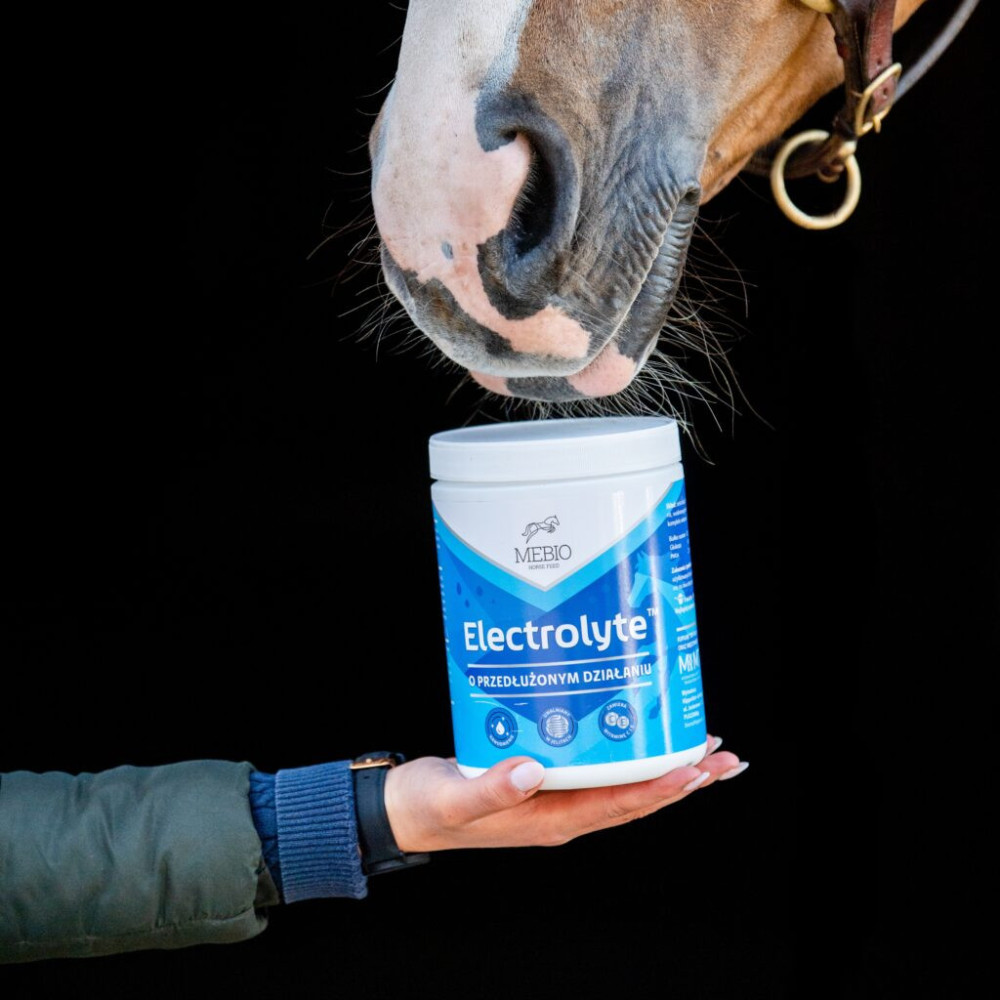 Elektrolity O Przedłużonym Działaniu Electrolyte Mebio