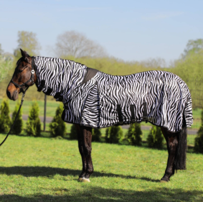 Derka Siatkowa Zebra York