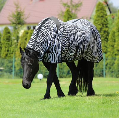 Derka Siatkowa Zebra York