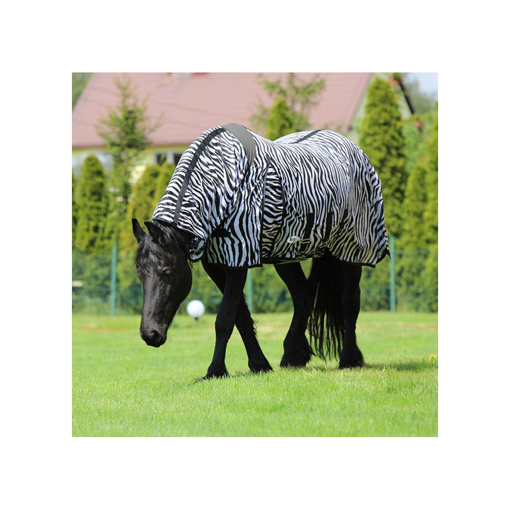 Derka Siatkowa Zebra York