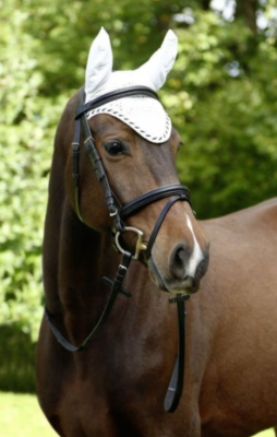 Nauszniki Classic Covalliero