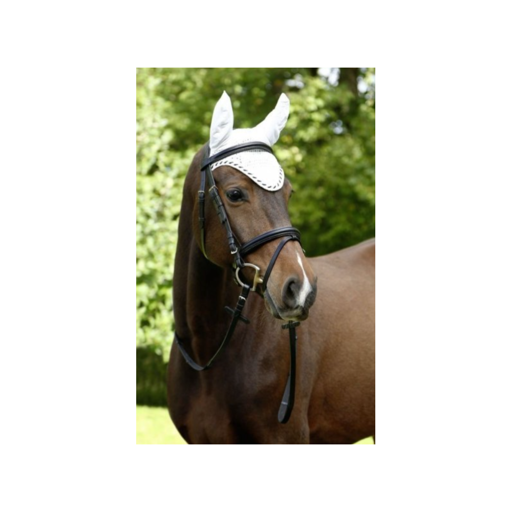 Nauszniki Classic Covalliero