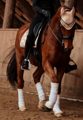 Nauszniki Szampańskie Equine Epoque
