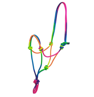 Halter Rainbow Tropical Horsenjoy