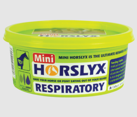 Lizawka Respiratory 650g Horslyx