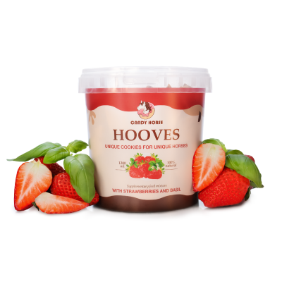 Kopytka Truskawka z Bazylią Candy Horse
