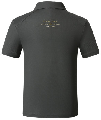 Koszulka z Krótkim Rękawem Męska Polo Steel Grey Anniversary 25 Covalliero