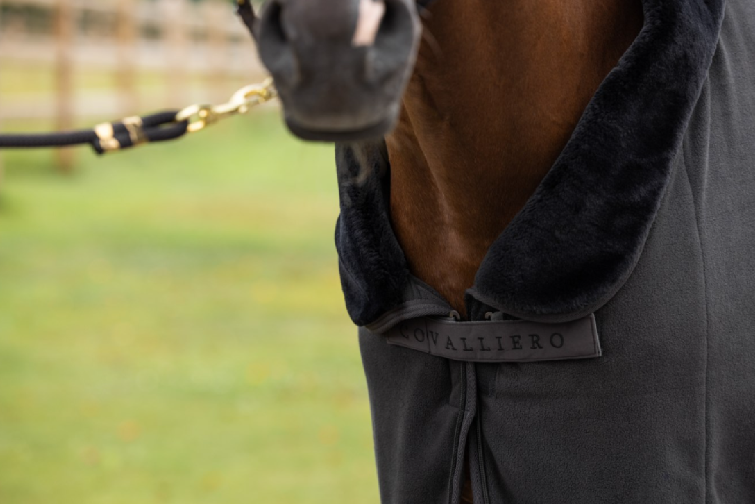 Derka polarowa Steel Grey Anniversary 25 Covalliero