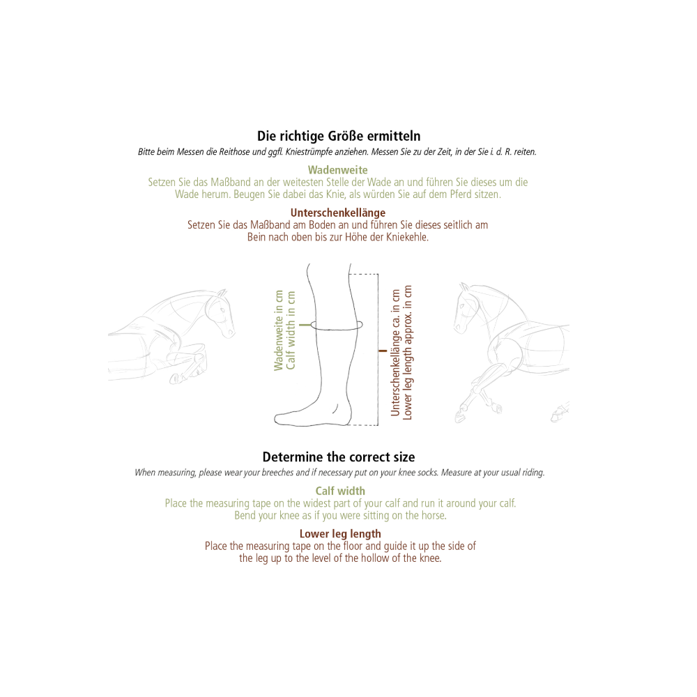 Oficerki Proximo Brązowe Kavalkade