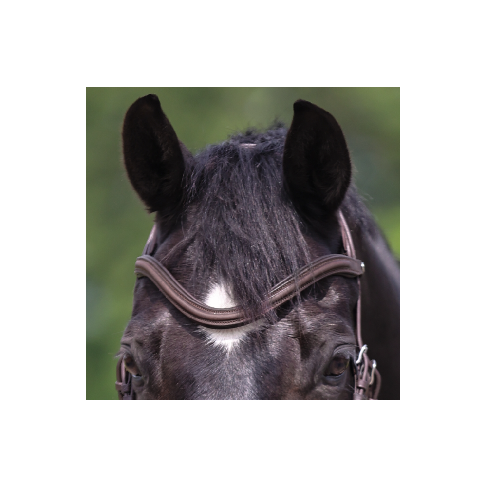 Naczółek Skórzany Klasyczny Kavalkade