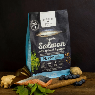 Karma dla szczeniąt z łososiem, szpinakiem i imbirem 4kg Go Native