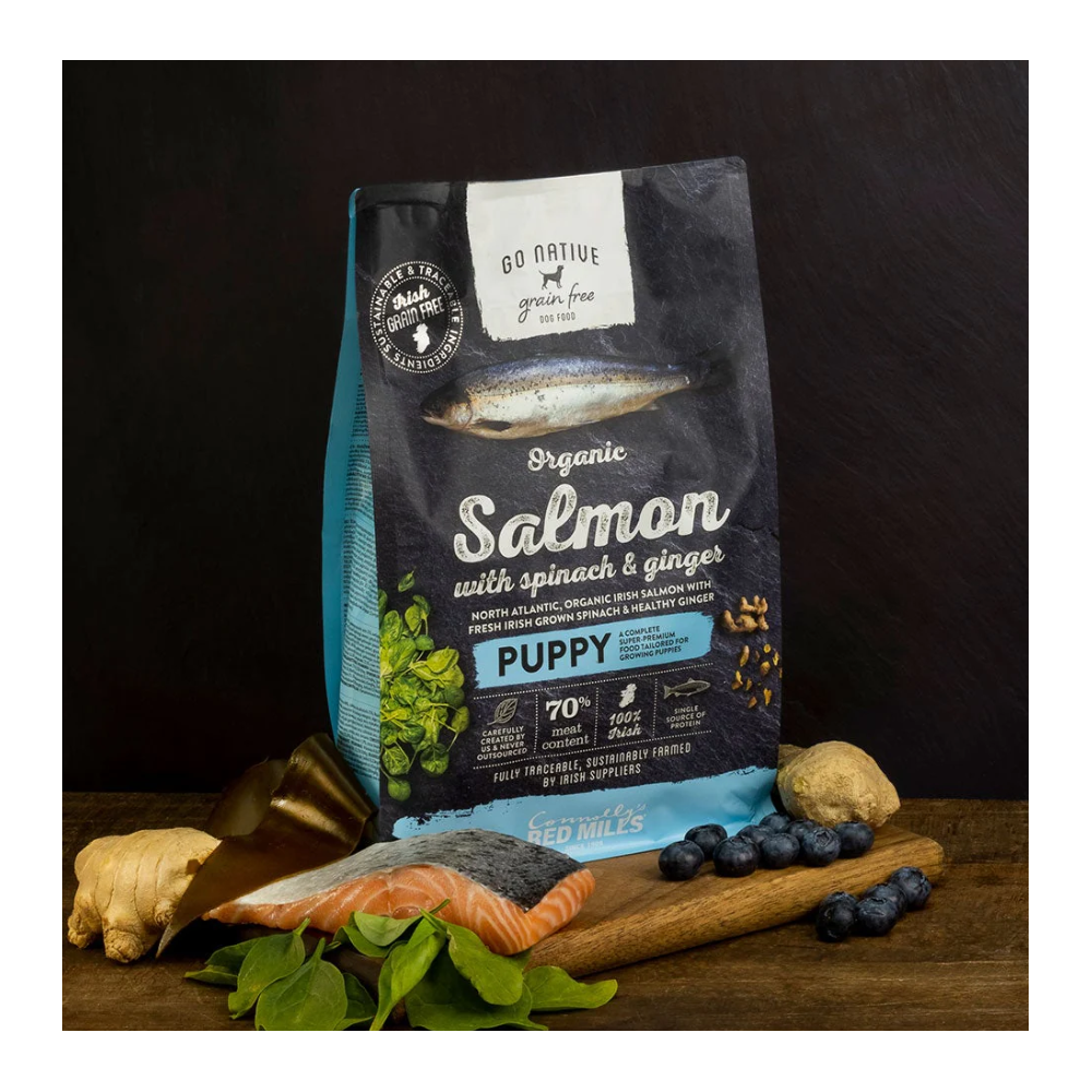 Karma dla szczeniąt z łososiem, szpinakiem i imbirem 4kg Go Native Karma dla szczeniąt z łososiem, szpinakiem i imbirem 4kg Go Native