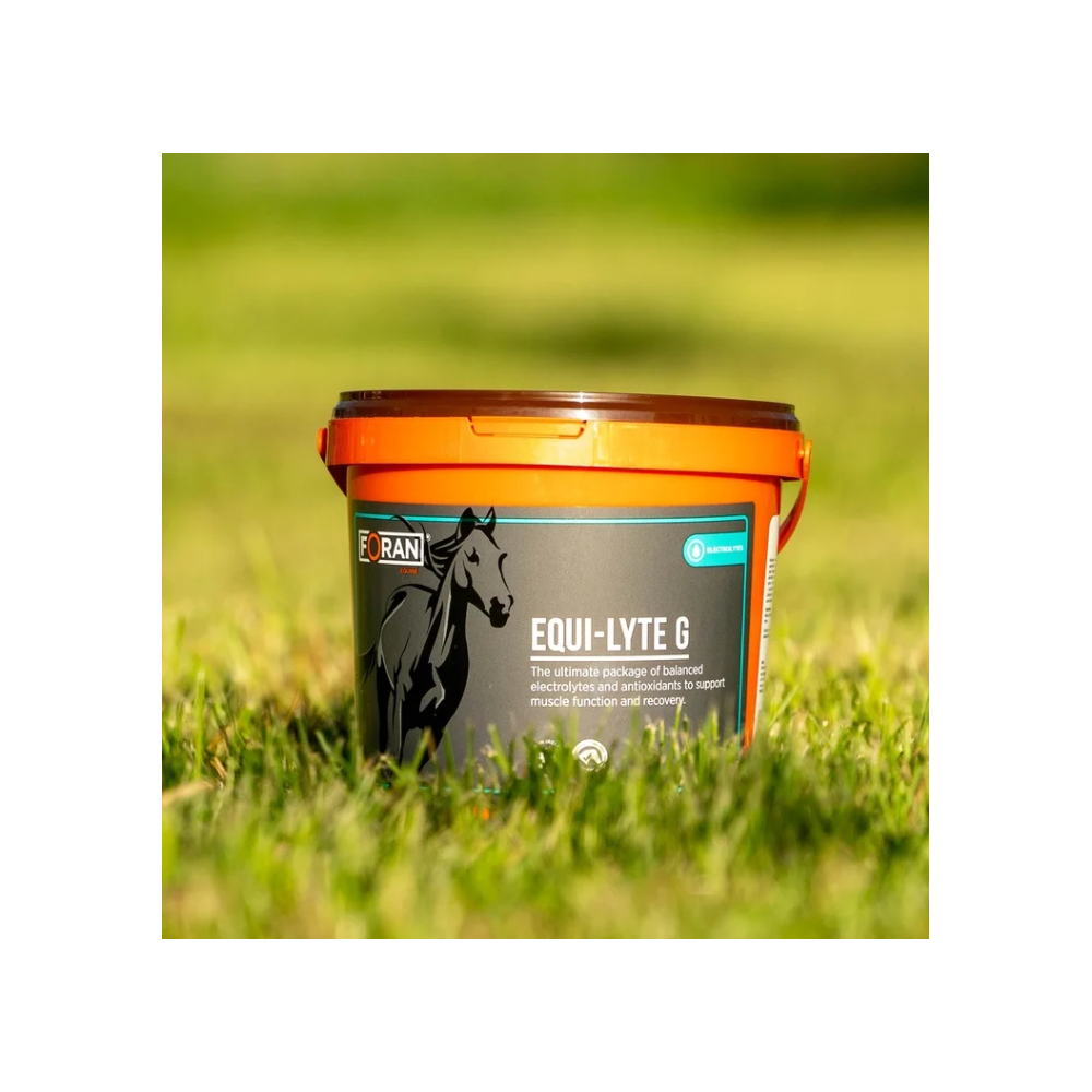 Elektrolity w proszku "Equi-Lyte G" Foran