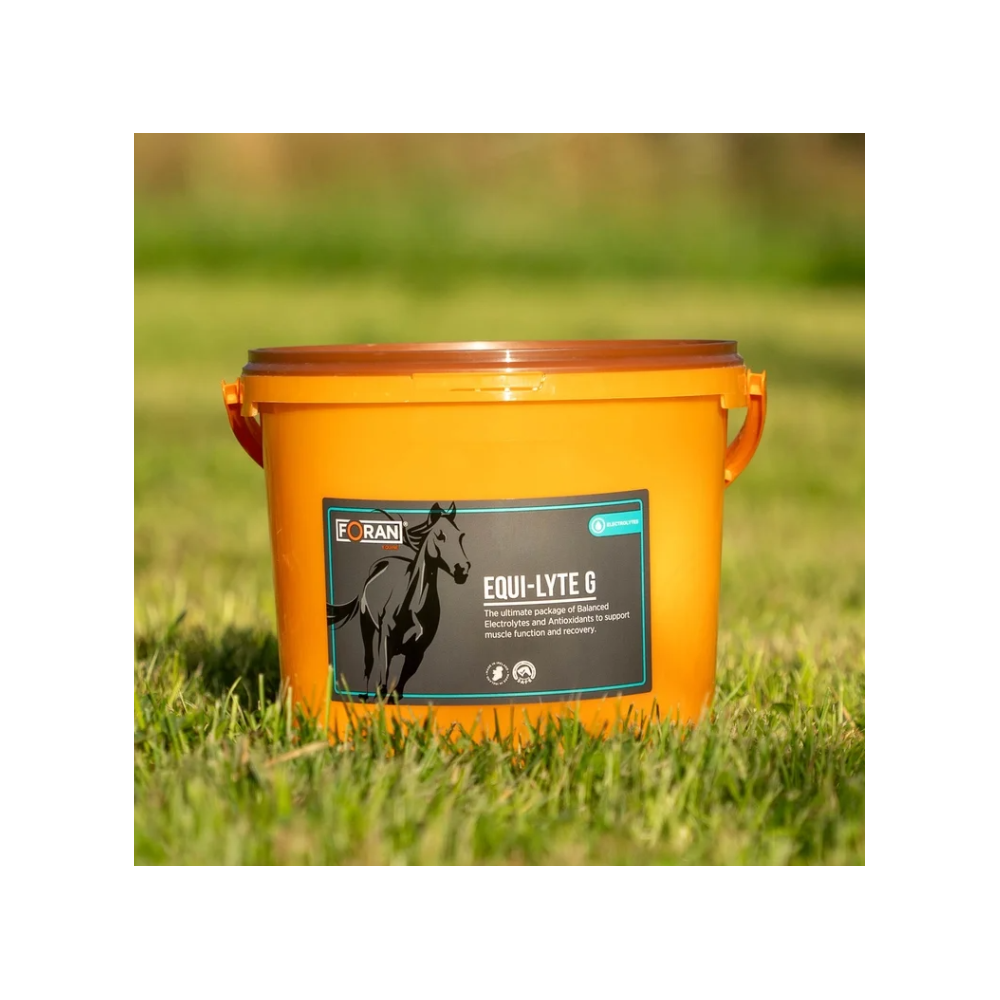 Elektrolity w proszku "Equi-Lyte G" Foran