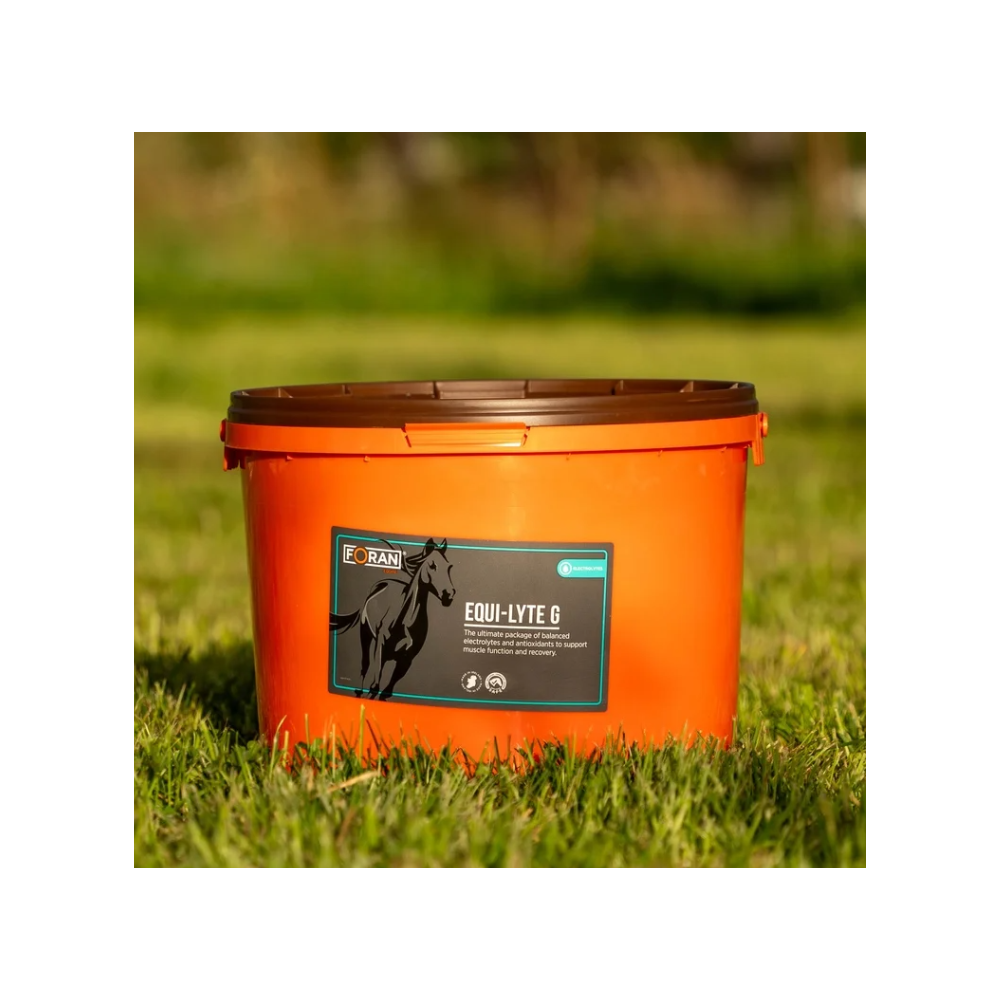Elektrolity w proszku "Equi-Lyte G" Foran