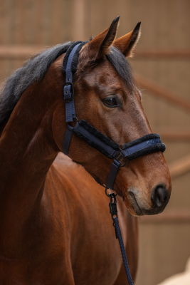 Kantar A/W25 Dark navy Covalliero