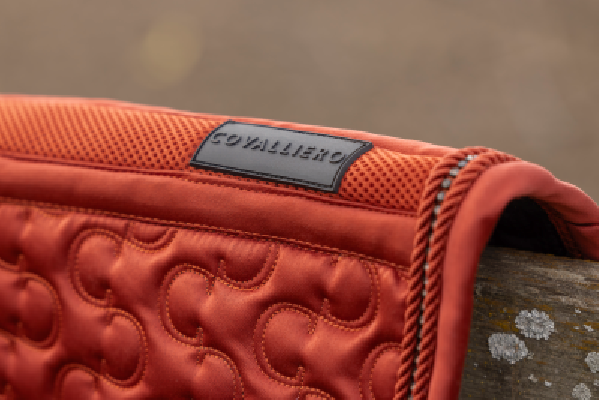 Czaprak A/W25 Rust Covalliero