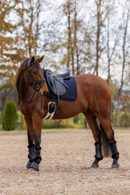 Czaprak "MemoryRide" A/W25 Dark navy Covalliero