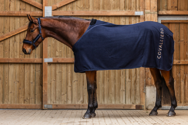 Derka polarowa A/W25 Dark navy Covalliero