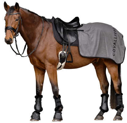 Derka treningowa A/W25 Steel grey Covalliero