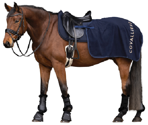 Derka treningowa A/W25 Dark navy Covalliero