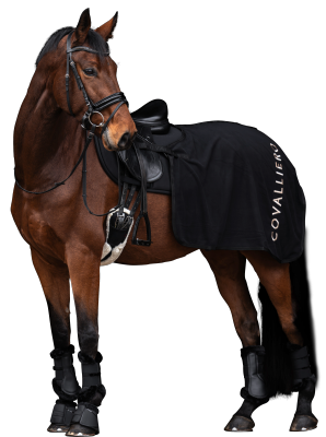 Derka treningowa A/W25 Black Covalliero