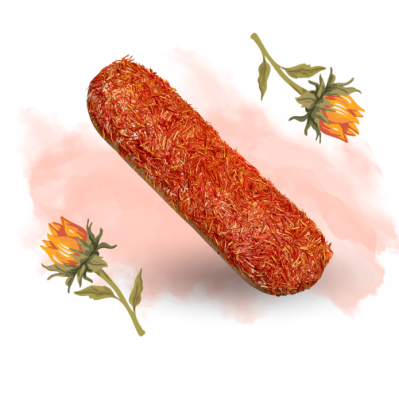 Ekler krokosz Candy Horse