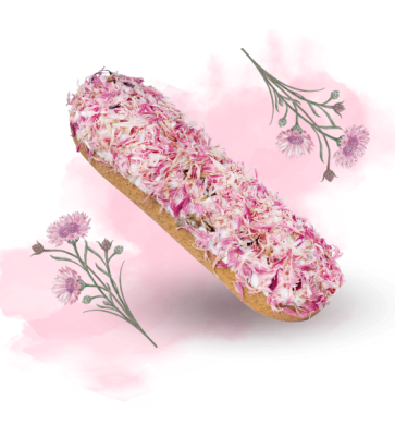 Ekler różowy chaber Candy Horse