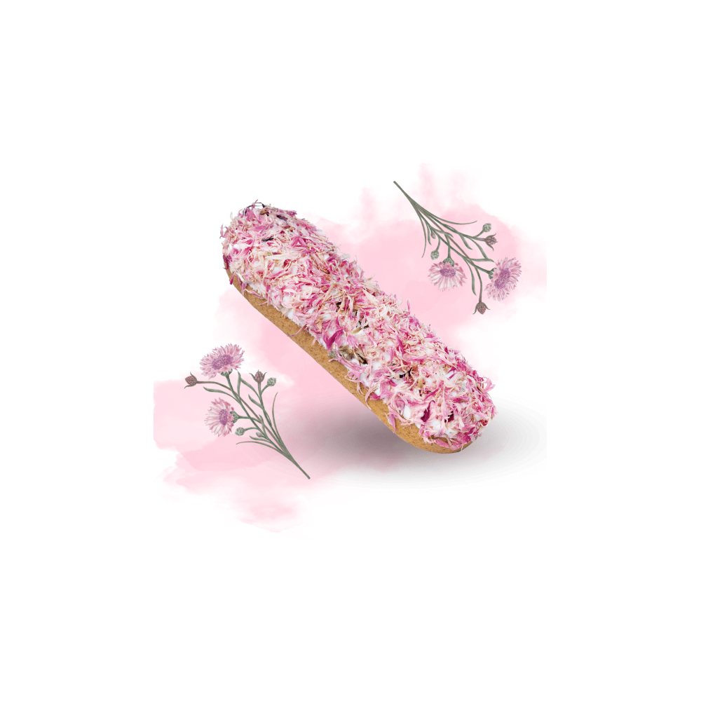 Ekler różowy chaber Candy Horse