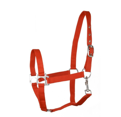 Kantar "Eco" Czerwony Api