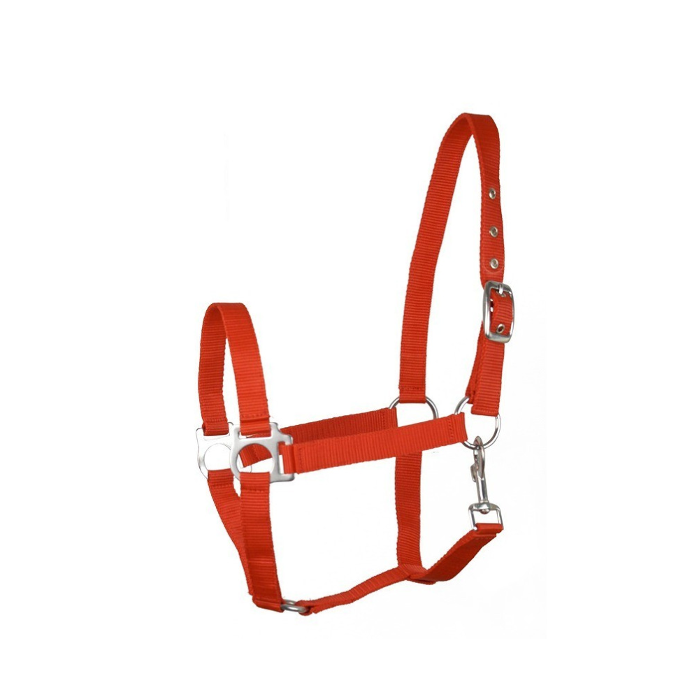 Kantar "Eco" Czerwony Api