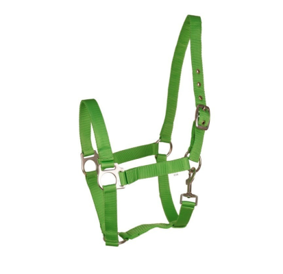 Kantar "Eco" Zielony Api