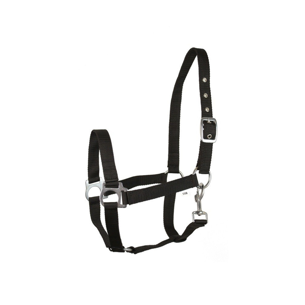 Kantar "Eco" Czarny Api Kantar "Eco" Czarny Api