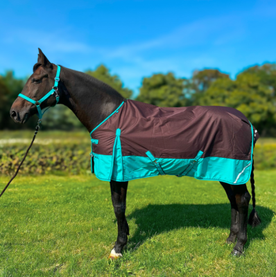 Derka padokowa "Clarion" 50g York